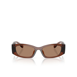 Michael Kors RHODES Sunglasses 402173 brown transparent