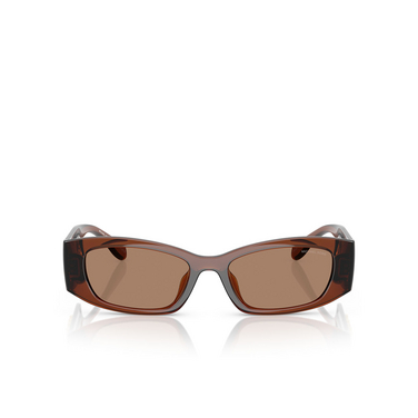 Michael Kors RHODES Sunglasses 402173 brown transparent - front view