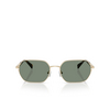 Occhiali da sole Michael Kors SAINT MARTIN 10143H light gold shiny - anteprima prodotto 1/3
