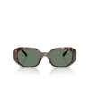 Michael Kors SIESTA KEY Sunglasses 300671 dark tortoise - product thumbnail 1/3