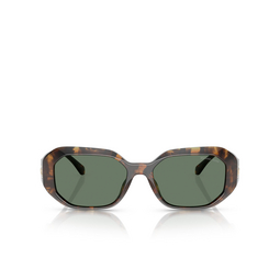 Michael Kors SIESTA KEY Sunglasses 300671 dark tortoise