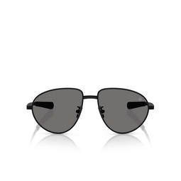 Moncler VIZLA Sonnenbrillen 100181 matte black