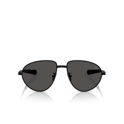 Moncler VIZLA Sonnenbrillen 100187 matte black