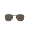 Occhiali da sole Montblanc MB0211S 005 gold - anteprima prodotto 1/3