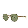 Lunettes de soleil Mr. Leight HACHI S 12KG-MMRRYE/SFDMDGRN 12k white gold-matte marbled rye/semi-flat diamond green - Vignette du produit 2/2