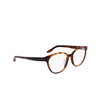 Gafas graduadas Nike 7164 240 soft tortoise - Miniatura del producto 2/4