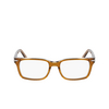 Gafas graduadas Nike 7174 218 amber / smoke laminate - Miniatura del producto 1/4