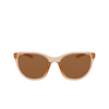 Nike CITY HERO EV24006 Sunglasses 296 bio beige / brown - product thumbnail 1/4