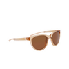 Nike CITY HERO EV24006 Sunglasses 296 bio beige / brown - product thumbnail 2/4