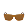 Nike CRESCENT I Sunglasses 802 amber / amber - product thumbnail 1/4