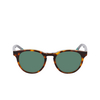 Nike ECLIPSE DAWN Sunglasses 243 tortoise / green - product thumbnail 1/4