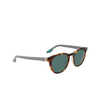 Nike ECLIPSE DAWN Sunglasses 243 tortoise / green - product thumbnail 2/4