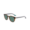 Nike ECLIPSE DAWN Sunglasses 243 tortoise / green - product thumbnail 3/4