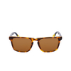 Nike ECLIPSE RISE Sunglasses 242 tortoise / amber - product thumbnail 1/4