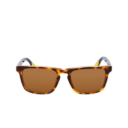 Nike ECLIPSE RISE Sunglasses 242 tortoise / amber