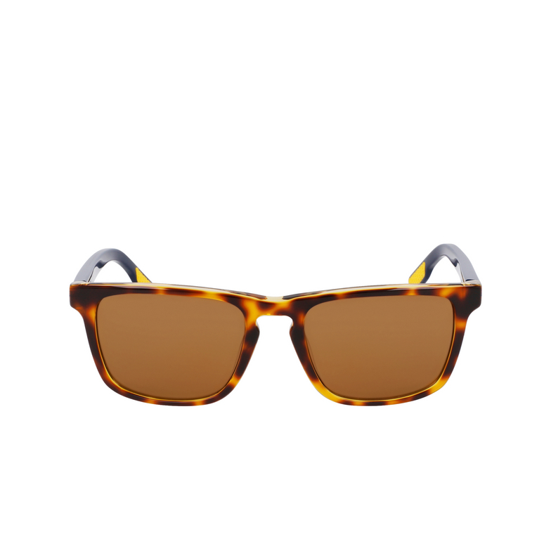 Lunettes de soleil Nike ECLIPSE RISE 242 tortoise / amber - 1/4