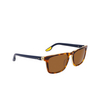 Lunettes de soleil Nike ECLIPSE RISE 242 tortoise / amber - Vignette du produit 2/4