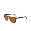 Lunettes de soleil Nike ECLIPSE RISE 242 tortoise / amber - Vignette du produit 3/4