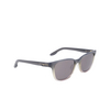 Nike EV24047 Sunglasses 066 grey gradient / grey - product thumbnail 2/4