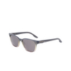 Nike EV24047 Sunglasses 066 grey gradient / grey - product thumbnail 3/4