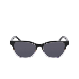 Nike EV24047 Sunglasses 010 black gradient / grey