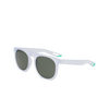 Nike FLATSPOT XXII Sunglasses 013 matte pure platinum / green - product thumbnail 3/4