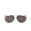 Nike IF1009X Sunglasses 700 citron tortoise / grey - product thumbnail 1/3