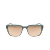 Nike IF1055X Sunglasses 338 vintage green / rose gold mir - product thumbnail 1/3