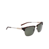 Nike IF1092X Sunglasses 200 matte tortoise / green - product thumbnail 2/3