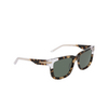 Gafas de sol Nike IH0898X 200 khaki tortoise / green - Miniatura del producto 2/3