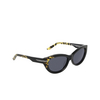 Nike IH0918X Sunglasses 010 black / grey - product thumbnail 2/3