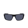 Gafas de sol Nike LYNK 010 black / dark grey - Miniatura del producto 1/4