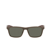 Nike RADEON Sunglasses 004 matte ironstone / green - product thumbnail 1/4