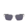 Lunettes de soleil Nike VEIL PRISM 040 silver / grey / light grey - Vignette du produit 1/4