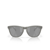 Oakley FROGSKINS Sonnenbrillen 9013M0 matt grey ink fingerprint - Produkt-Miniaturansicht 1/4