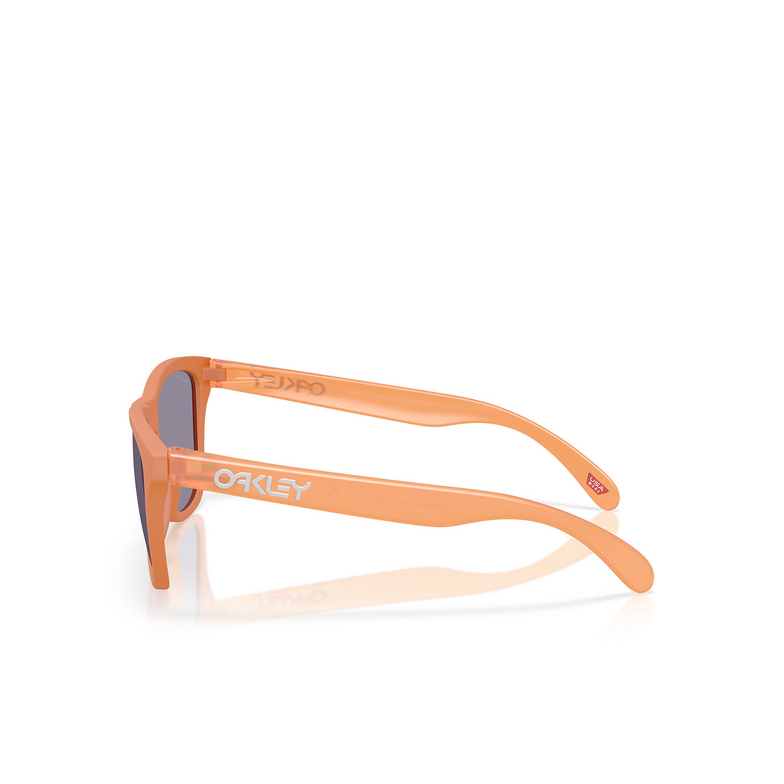 Gafas de sol Oakley FROGSKINS 9013M1 matte ginger - 3/4