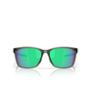 Occhiali da sole Oakley PARACORD 950602 olive ink - anteprima prodotto 1/4