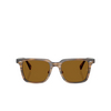Occhiali da sole Oliver Peoples MR. FEDERER II 171973 olive smoke - anteprima prodotto 1/6