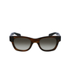 Lunettes de soleil Paul Smith IGHGATE 210 brown - Vignette du produit 1/3