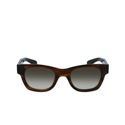 Lunettes de soleil Paul Smith IGHGATE 210 brown