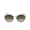 Paul Smith PS25100S Sunglasses 715 gold / green - product thumbnail 1/2