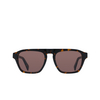 Paul Smith PS25602S Sunglasses 214 havana multistripes - product thumbnail 1/2