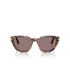 Persol PO3379S Sunglasses 105253 madreterra - product thumbnail 1/4