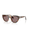 Persol PO3379S Sunglasses 105253 madreterra - product thumbnail 2/4