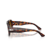 Persol VINCENT Sonnenbrillen 24/85 havana - Produkt-Miniaturansicht 3/4