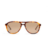 Gafas de sol Peter And May ARIA NOCTURNE SUN HAVANA / LATTE - Miniatura del producto 1/3