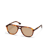 Gafas de sol Peter And May ARIA NOCTURNE SUN HAVANA / LATTE - Miniatura del producto 2/3