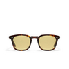 Occhiali da sole Peter And May FIVE AGAIN SUN TORTOISE / LIGHT KHAKI - anteprima prodotto 1/3