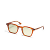 Occhiali da sole Peter And May FIVE AGAIN SUN WALNUT GROVE / GRAPHITE GREEN - anteprima prodotto 2/3
