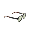 Gafas de sol Peter And May NIGHT TRAIN SUN BLACK & DARK TURTLE / GRAPHITE GREEN - Miniatura del producto 2/4